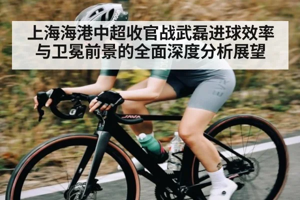 上海海港中超收官战武磊进球效率与卫冕前景的全面深度分析展望